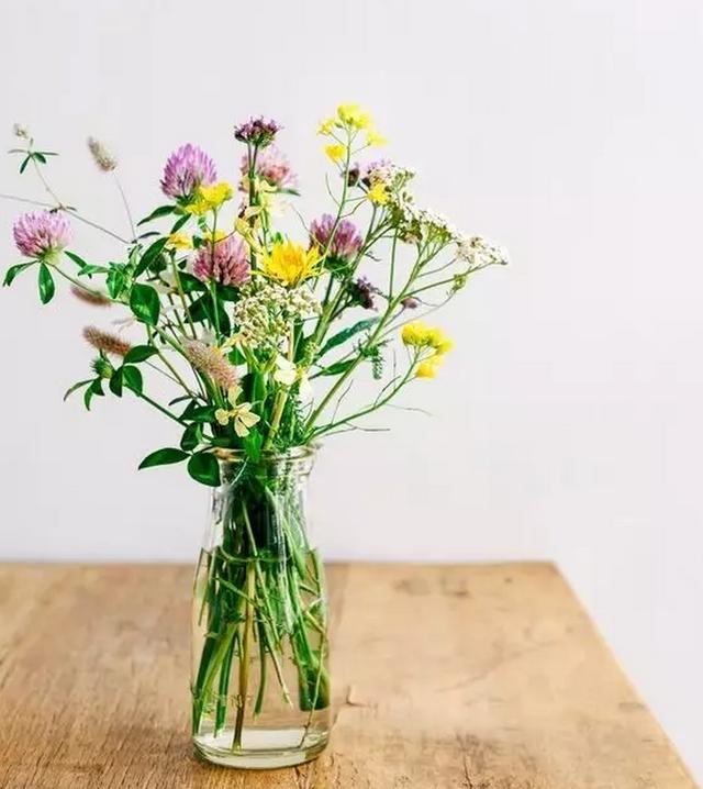 Ces fleurs sont plus adaptées à la tenue dans des vases en verre