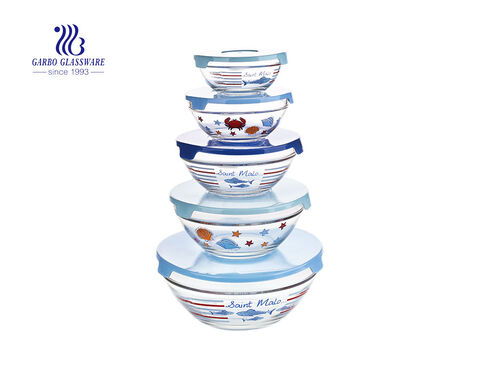 5pcs glass salad bowl set