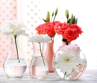 Savez-vous pourquoi certaines personnes choisissent un vase avec un matériau en verre