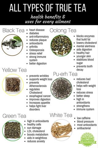 Everything You Need to Know about Tea, Explained