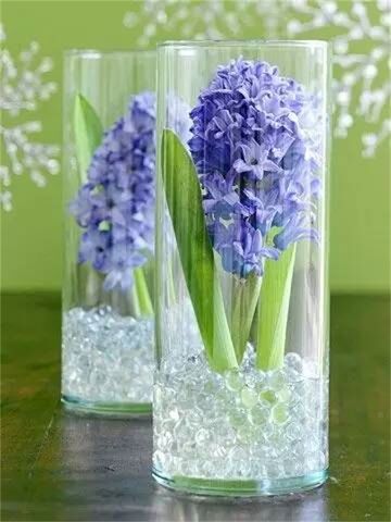 Tips for arranging flowers in glass vases