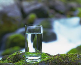 Was für eine Tasse liebt man mit Trinkwasser?