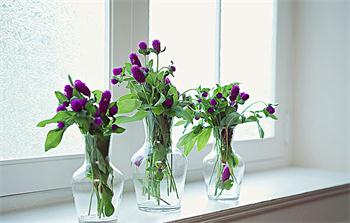 The important factor in choosing a vase and vase collocation tips