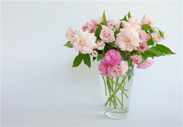These flowers are more suitable for holding in glass vases