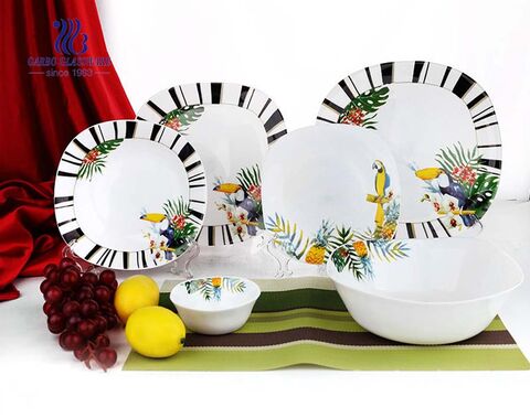 Set 18 assiettes et bol en verre trempé en verre opale avec décalcomanie spéciale