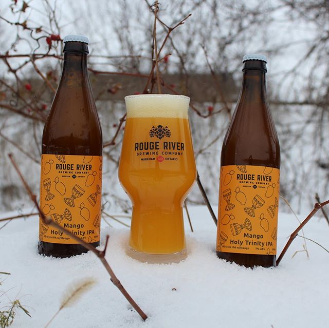 Why does beer only be packed in glass bottle?