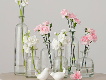 Savez-vous pourquoi certaines personnes choisissent un vase avec un matériau en verre