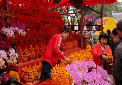 Ano Novo Chinês no Mundo